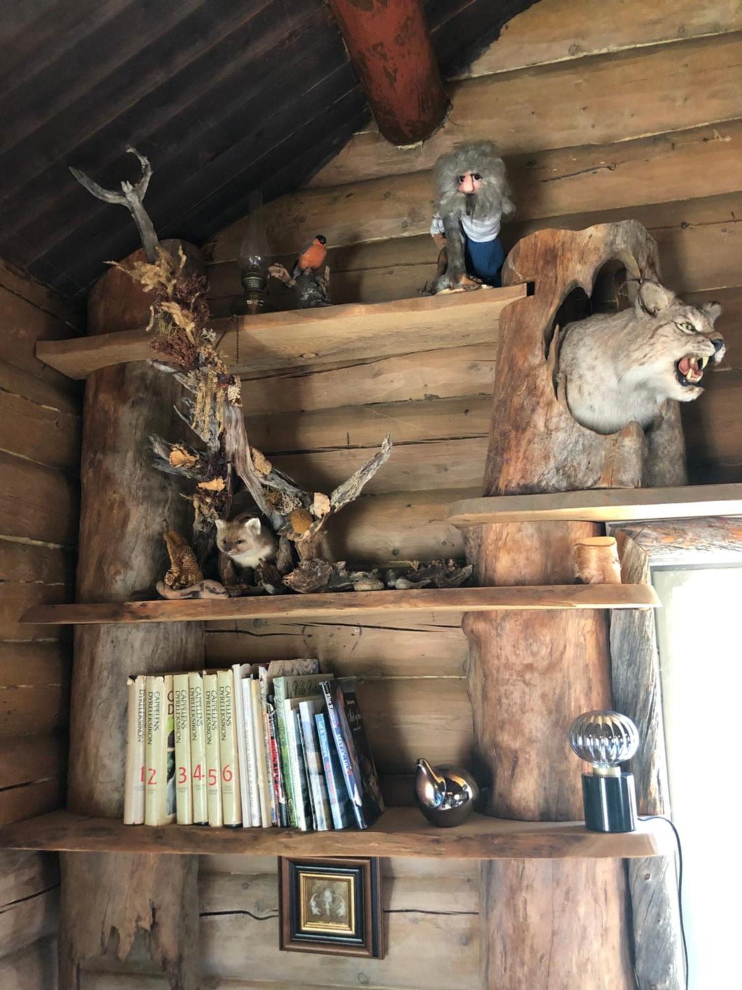 Hotel Pasvik Taiga Skogfoss Esterno foto