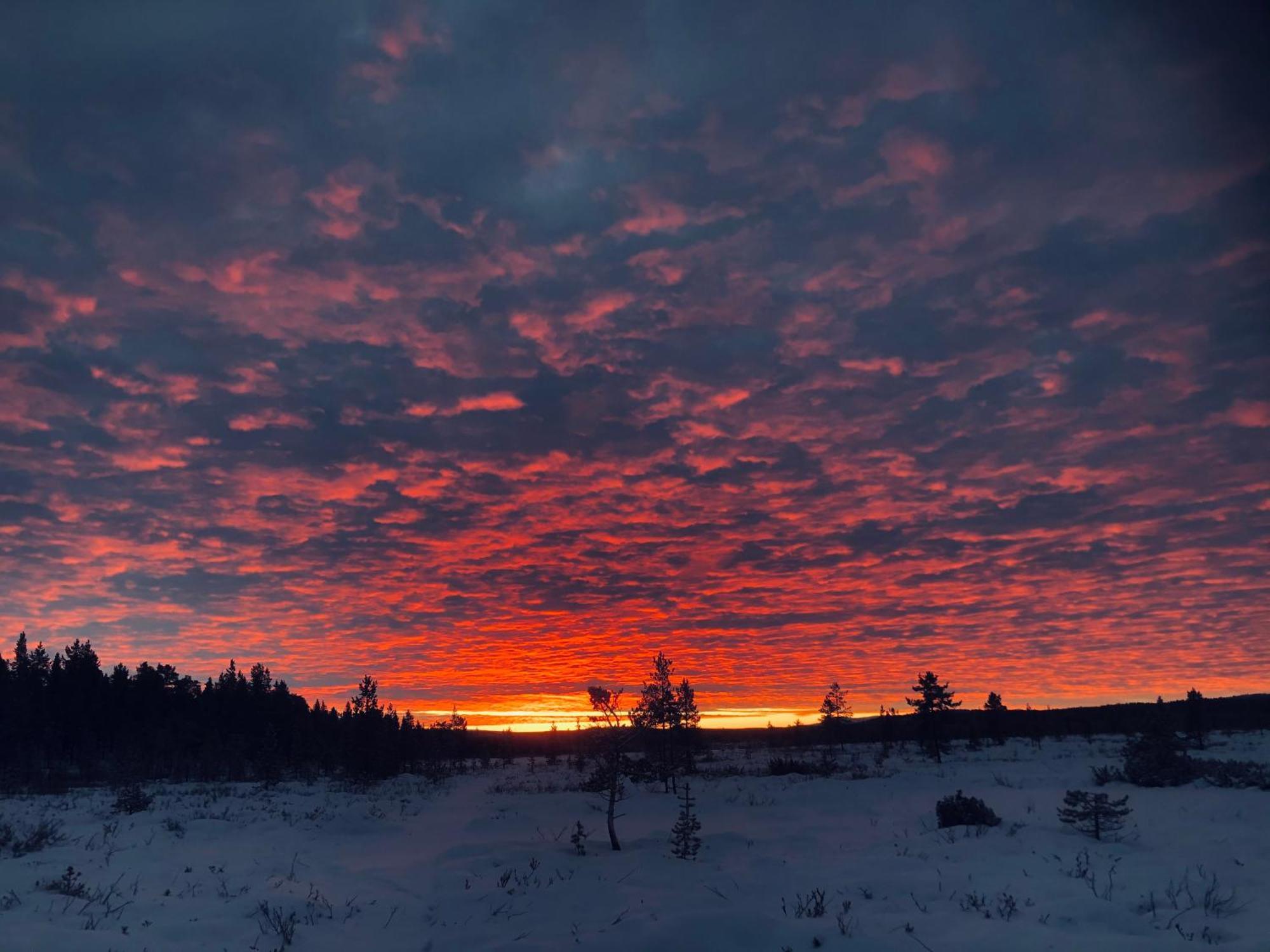Hotel Pasvik Taiga Skogfoss Esterno foto